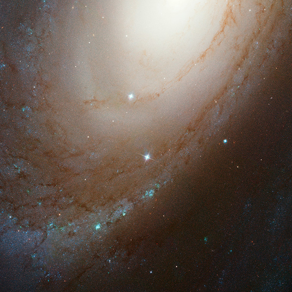 This NASA/ESA Hubble Space Telescope photo shows the majestic spiral galaxy M81. In the midsts of this galaxy is the supernova 1993J which was recently found to have a companion star which had been hidden in the glow of the supernova for 21 years. The location of the supernova can be seen in the annotated version of this image. Links:  NASA Press release Artist's impression of supernova 1993J Supernova 1993J in spiral galaxy M81 Supernova 1993J Scenario for Type IIb supernova 1993J